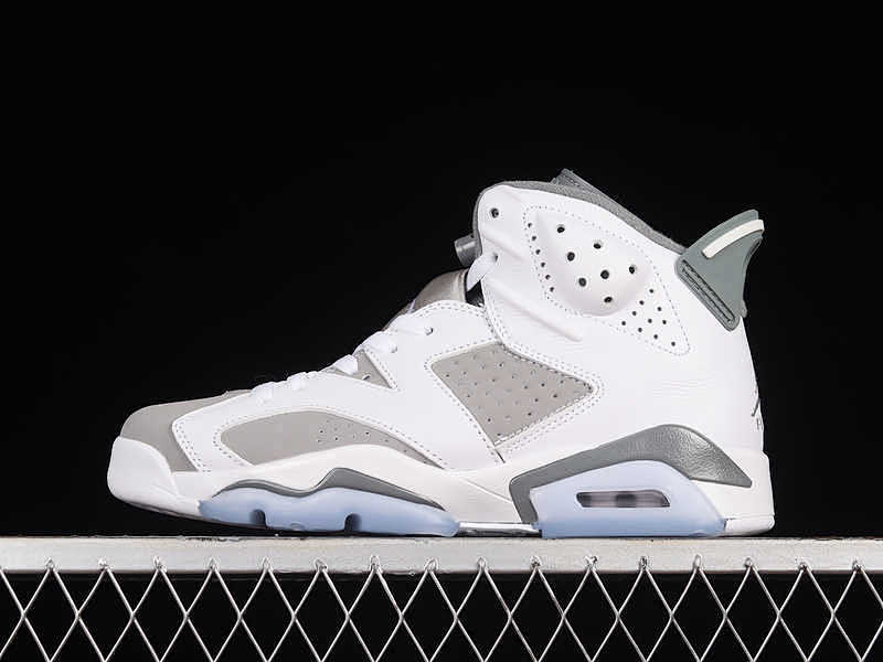 Air Jordan 6 Cool Grey
