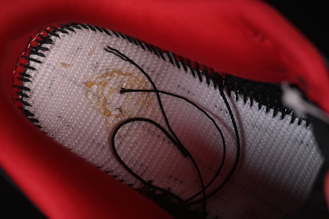 Supreme xSB Dunk Low