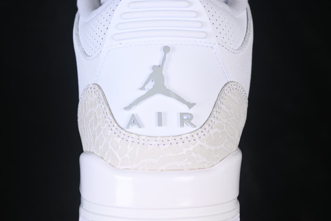 Air Jordan 3 Retro Pure Money AJ3 White Cat