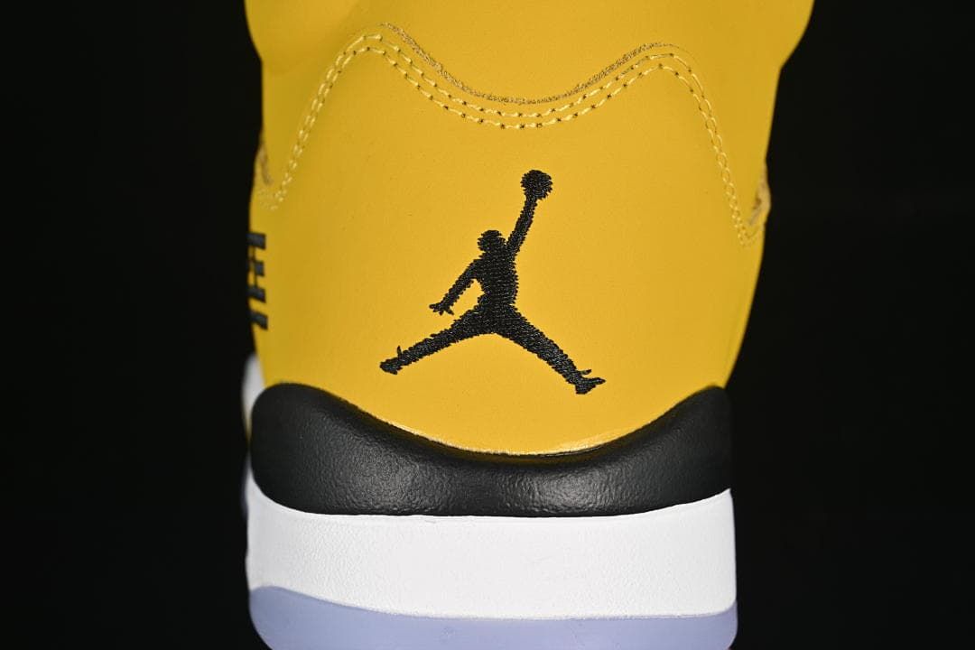 Air Jordan 5 Retro