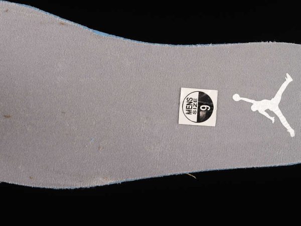 Air Jordan 12 Stealth Cool Grey