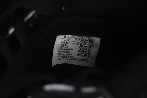 DZ5485-008 09.jpeg Air Jordan 1 High OG Shattered Backboard AJ1