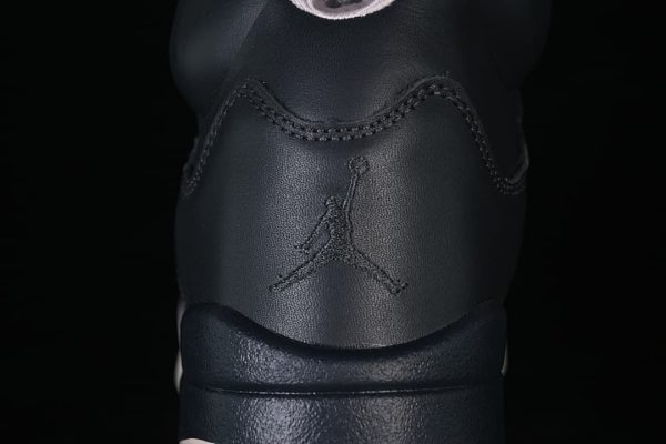 PSG x Air Jordan 5 Retro AJ5