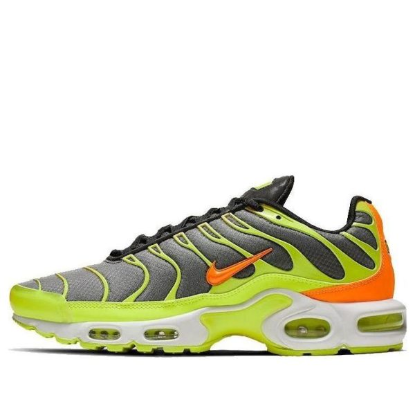 Nike Air Max Plus Color Flip