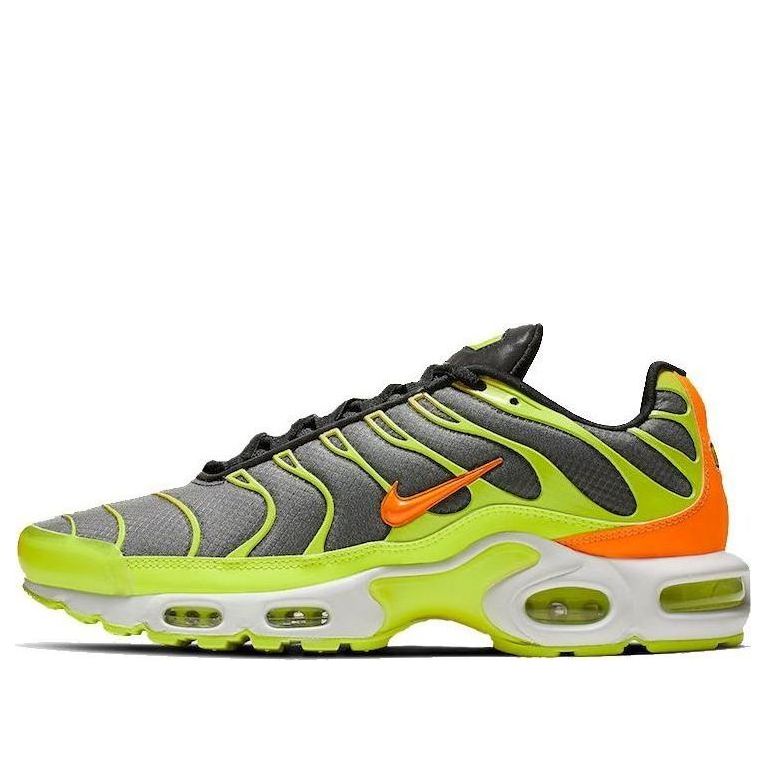 Nike Air Max Plus Color Flip