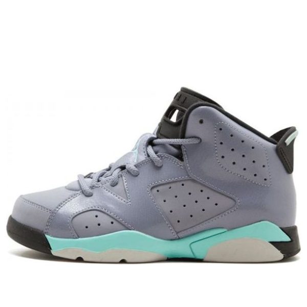 Air Jordan 6 Retro Iron Purple
