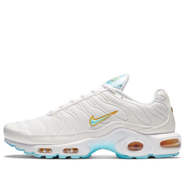 Nike Air Max Plus White Blue