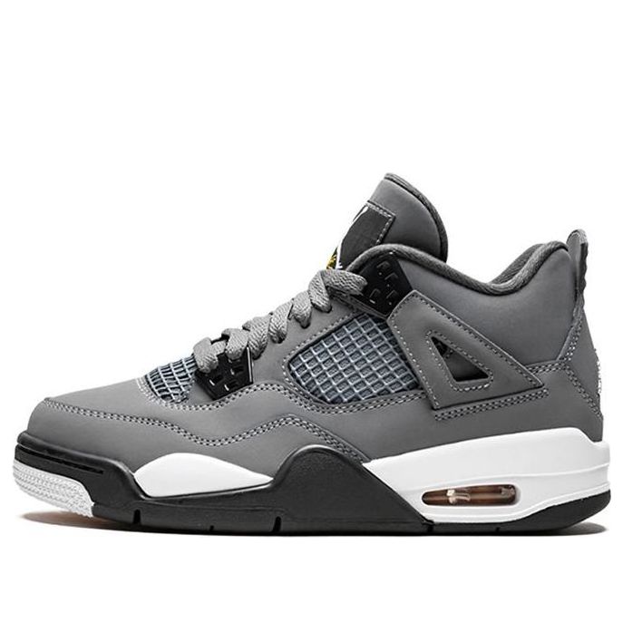 Air Jordan 4 Retro Cool Grey 2019