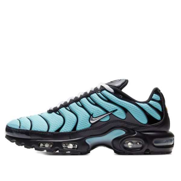 Nike Air Max Plus Aqua Silver