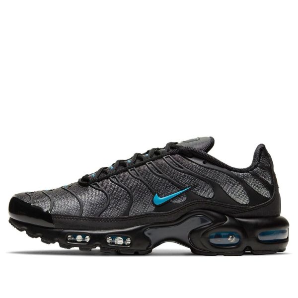 Nike Air Max Plus Black Hex