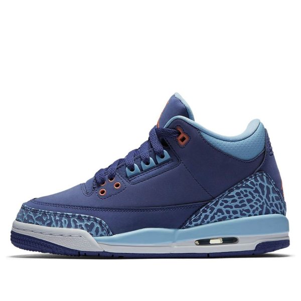 Air Jordan 3 Retro Purple Dust