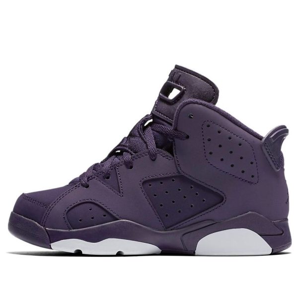 Air Jordan 6 Retro Purple Dynasty