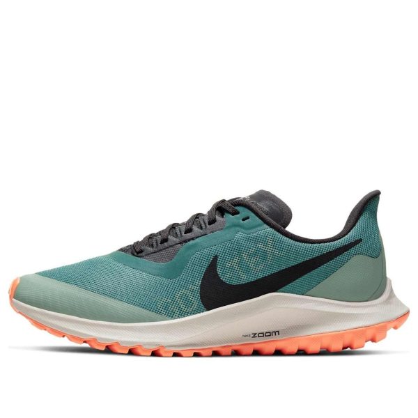 Nike Air Zoom Pegasus 36 Trail GTX Bicoastal