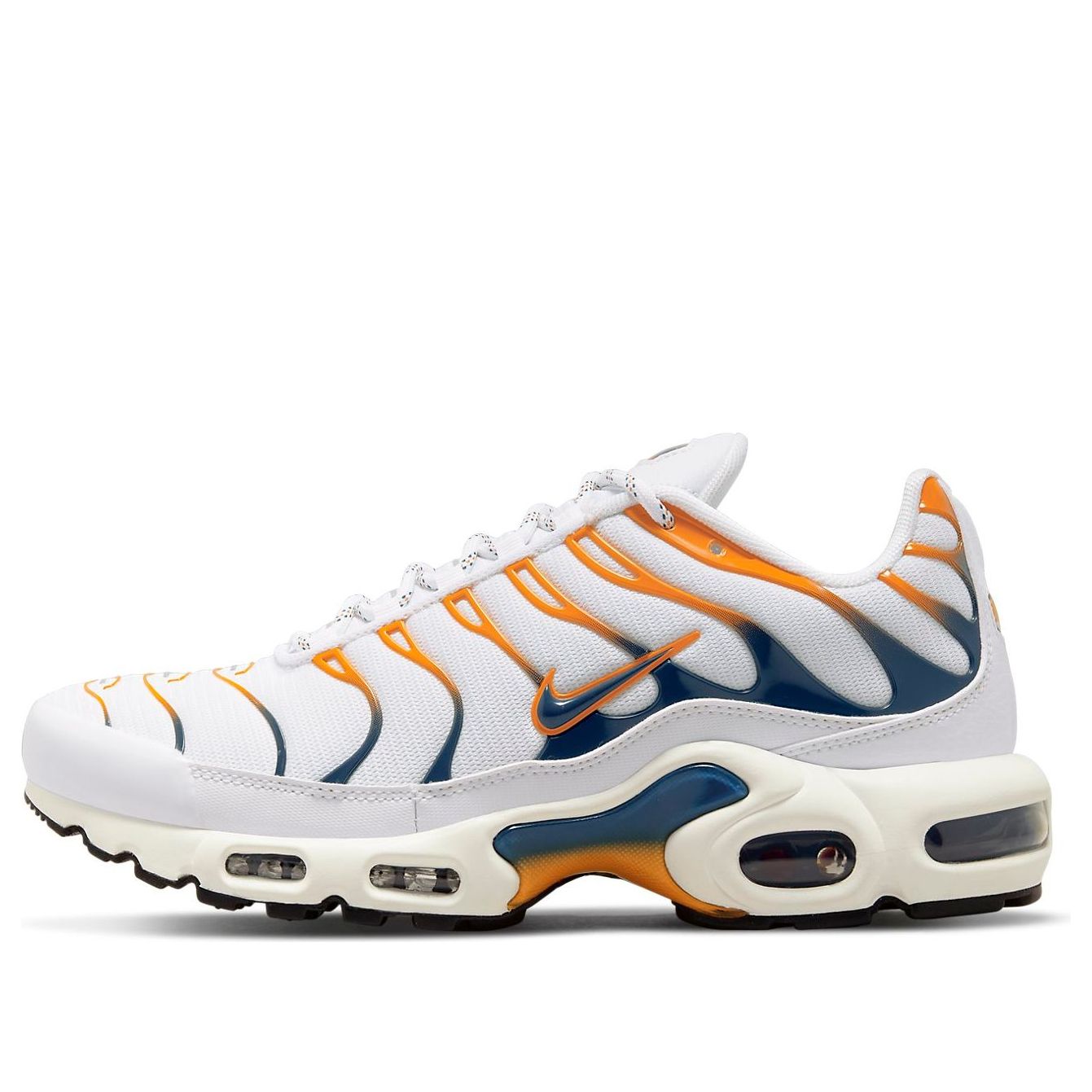 Nike Air Max Plus Hiking