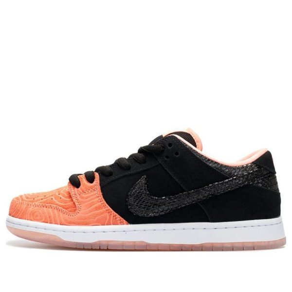 Nike x Premier SB Dunk Low Pro Fish Ladder