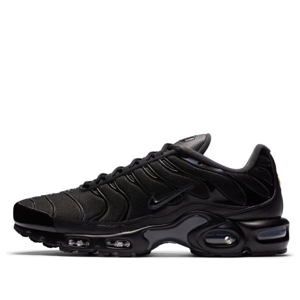 Nike Air Max Plus Black Dark Smoke Grey