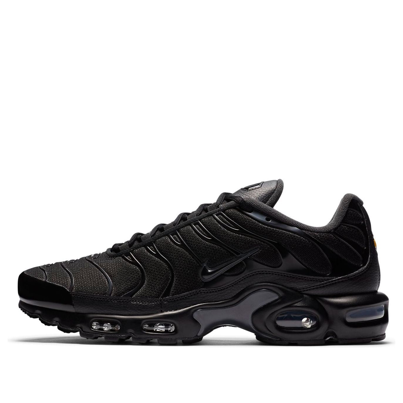 Nike Air Max Plus Black Dark Smoke Grey