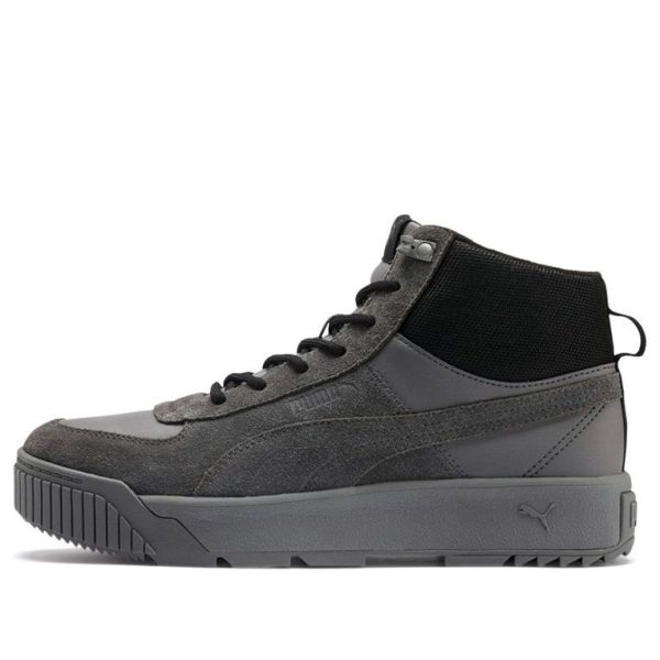 PUMA Tarrenz SB Sneakers Grey