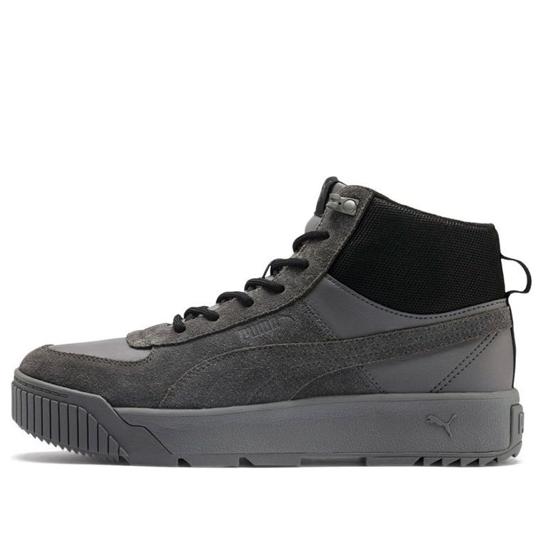 PUMA Tarrenz SB Sneakers Grey