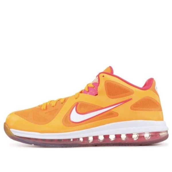 Nike LeBron 9 Low Floridian
