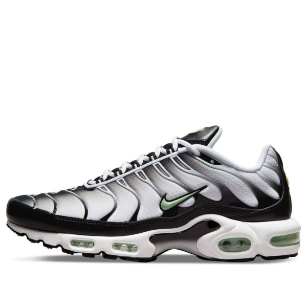 Nike Air Max Plus Seafoam