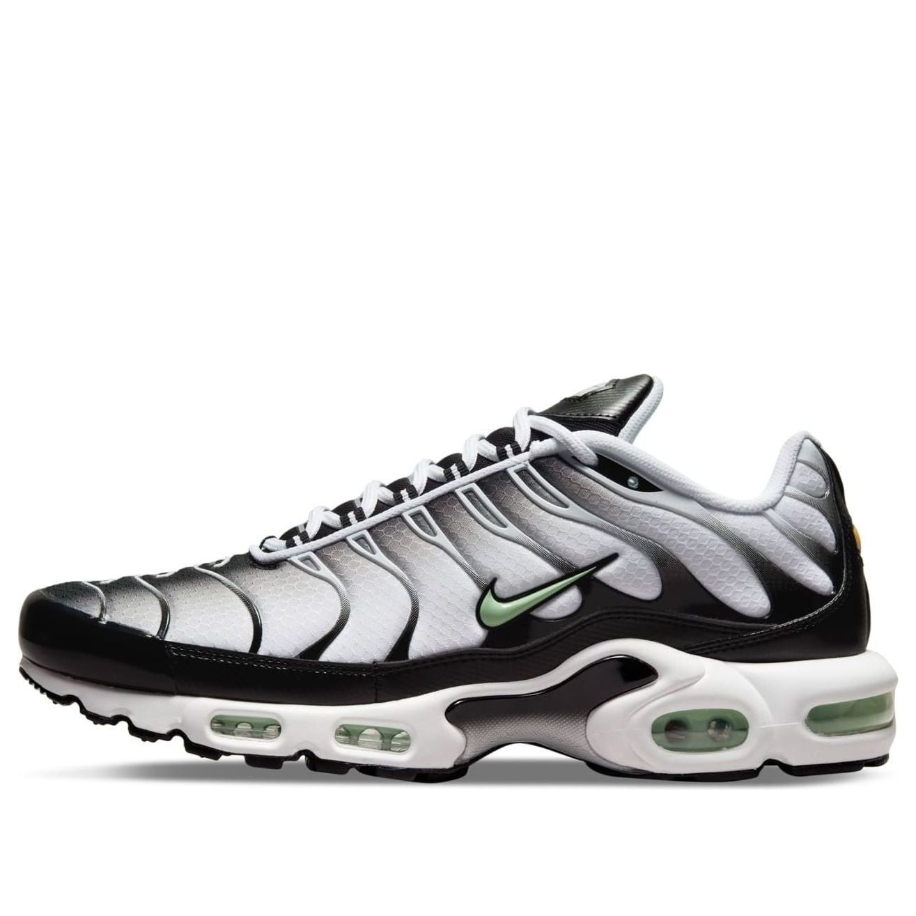 Nike Air Max Plus Seafoam