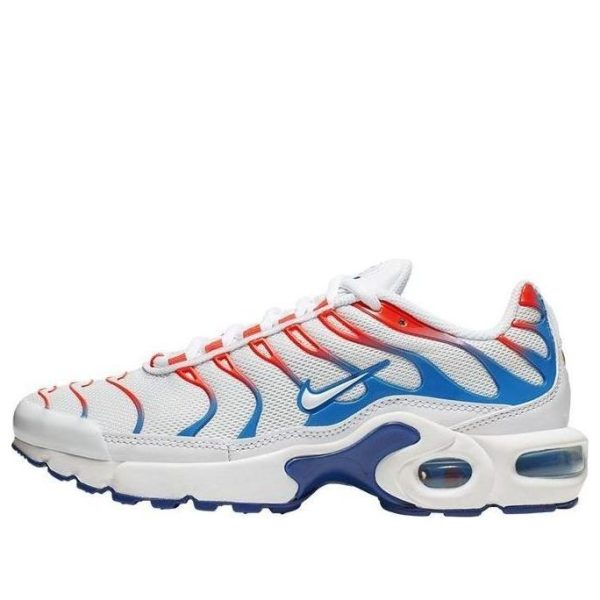 Nike Air Max Plus 3D Glasses
