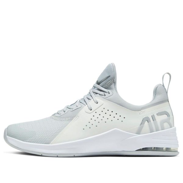 Nike Air Max Bella TR 3 Pure Platinum Metallic Silver