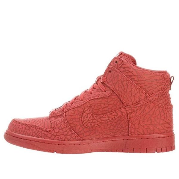 Nike Dunk High Premium Ultimate Glory
