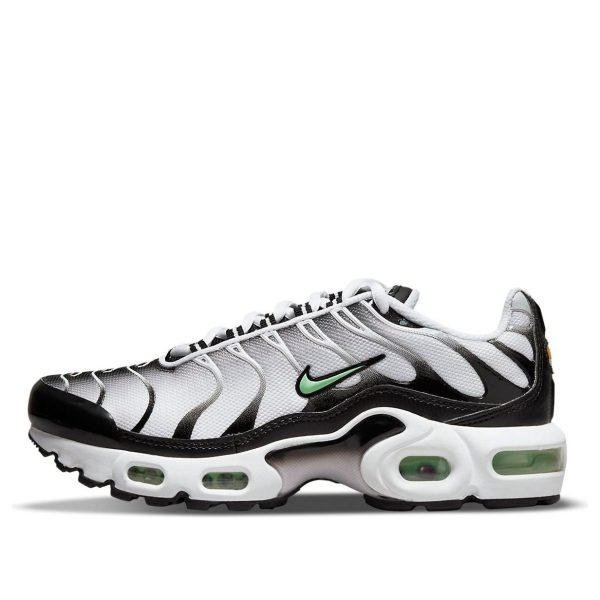 Nike Air Max Plus White Reflect Silver Fresh Mint
