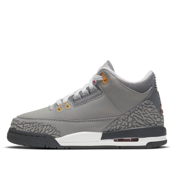 Air Jordan 3 Retro Cool Grey 2021