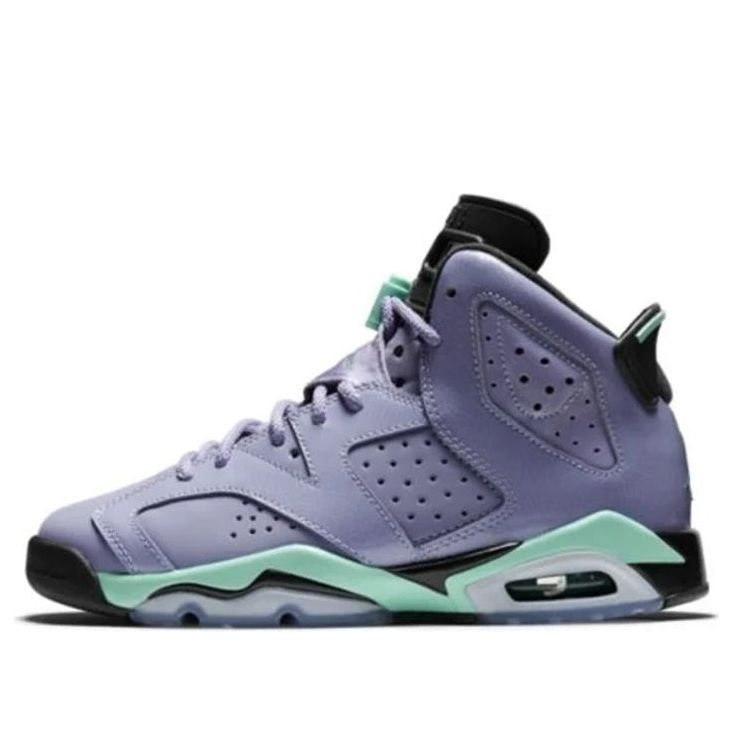 Air Jordan 6 Retro Iron Purple