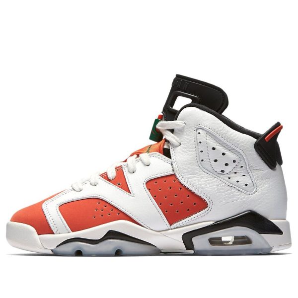Air Jordan 6 Retro Gatorade